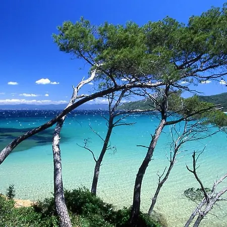 Moderne - Terrasse - Proche Plages Carqueiranne