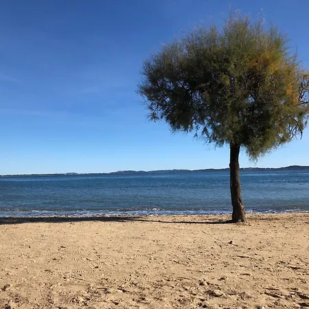 Moderne - Terrasse - Proche Plages 公寓